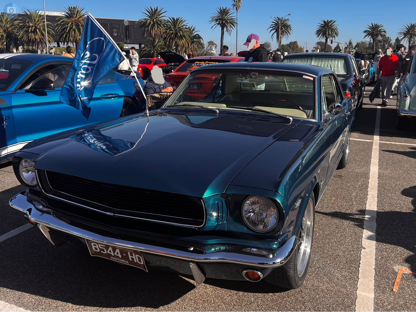8544-H0, Ford Mustang 