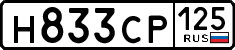 License plate Russia, Cars