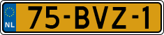 75-BVZ-1