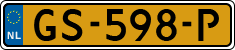GS-598-P