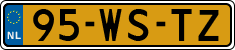 95-WS-TZ