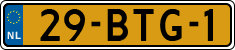 29-BTG-1