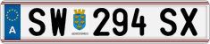 SW 294 SX