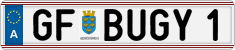 GF BUGY 1