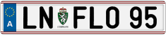 LN FLO 95