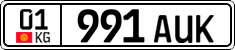01 991 AUK