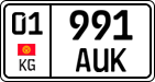 01 991 AUK