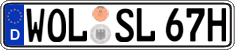 German license plate, Plates for oldtimers (type 