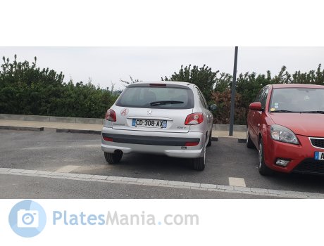 CD-308-AX, Peugeot 206