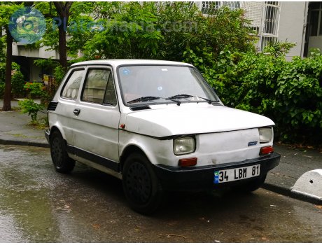 34 LBM 81, FIAT 126