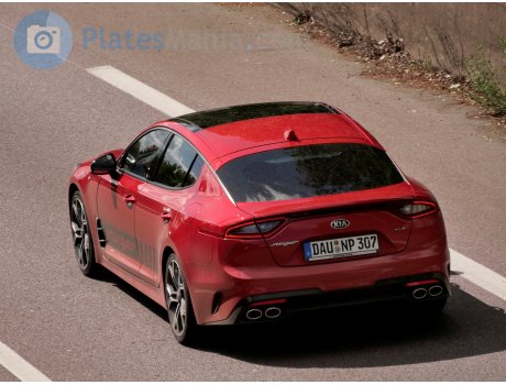 DAU NP 307, Kia Stinger