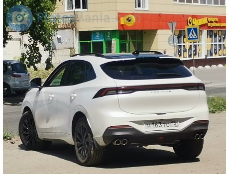 н183то15, Forthing (Fengxing)