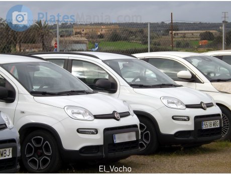 5518 MBG, FIAT Panda