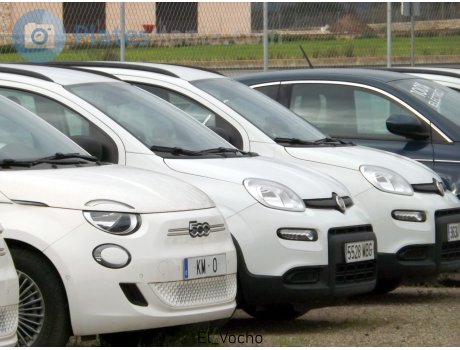 5528 MBG, FIAT Panda