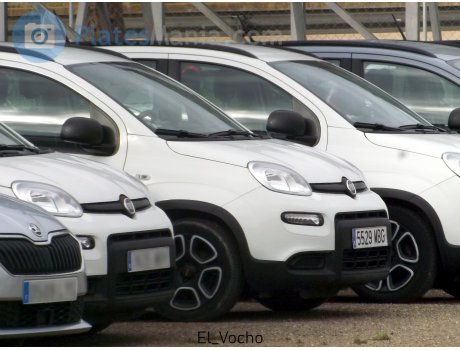 5529 MBG, FIAT Panda