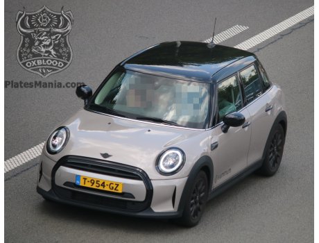 T-954-GZ, MINI Hatch