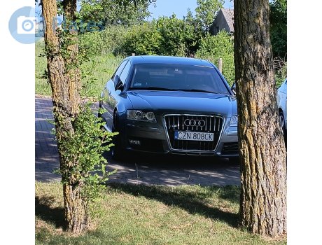 CZN 808CK, Audi A8