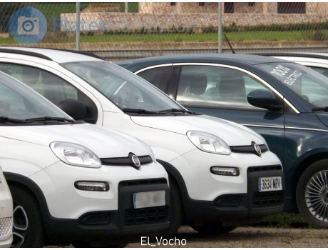 3634 MBV, FIAT Panda