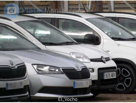 3635 MBV, FIAT Panda