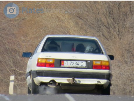 T 7234 D, Audi 100