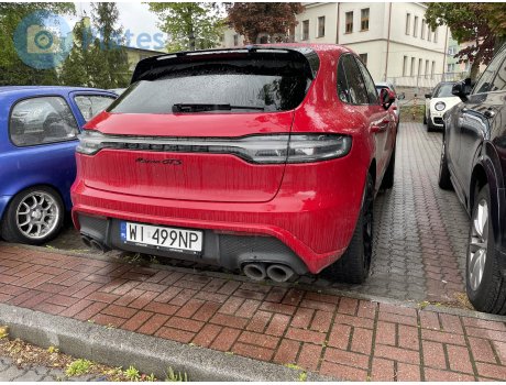 WI 499NP, Porsche Macan