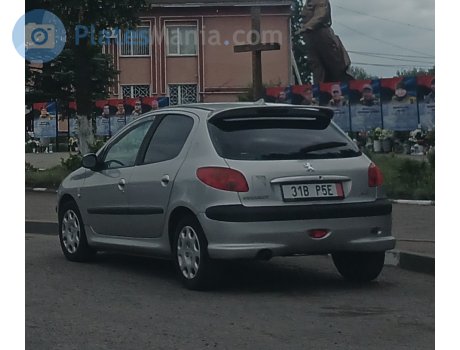 31B P5E, Peugeot 206