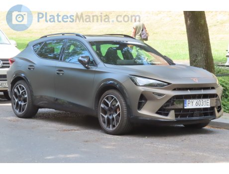 PY 6031E, Cupra Formentor