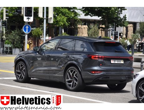 UR 6666, Audi Q6/SQ6