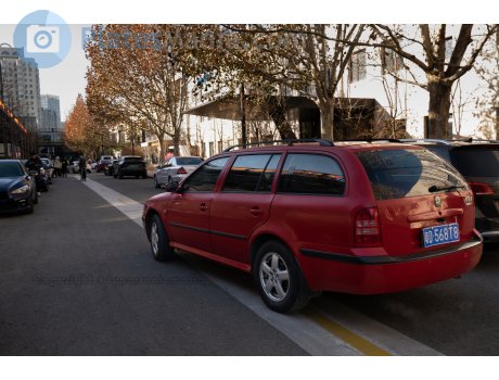 粤D·568T8, Skoda Octavia