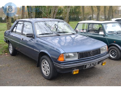 BR-347-GL, Peugeot 305
