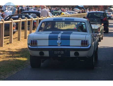 EG-971-DB, Ford Mustang