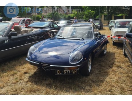 DL-677-VH, Alfa Romeo Spider