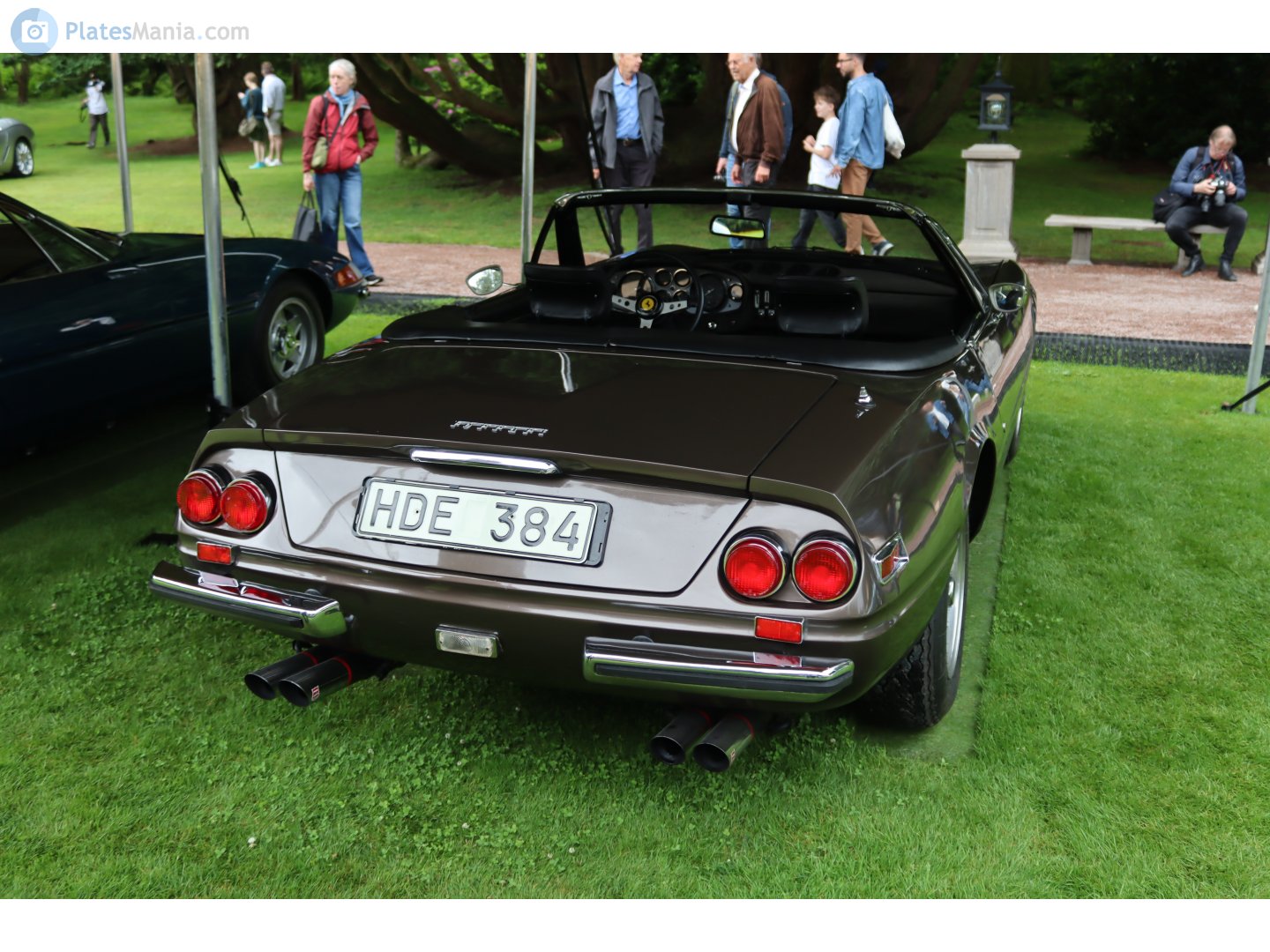 HDE 384, Ferrari 365 365 GTS/4 (1971–1973)