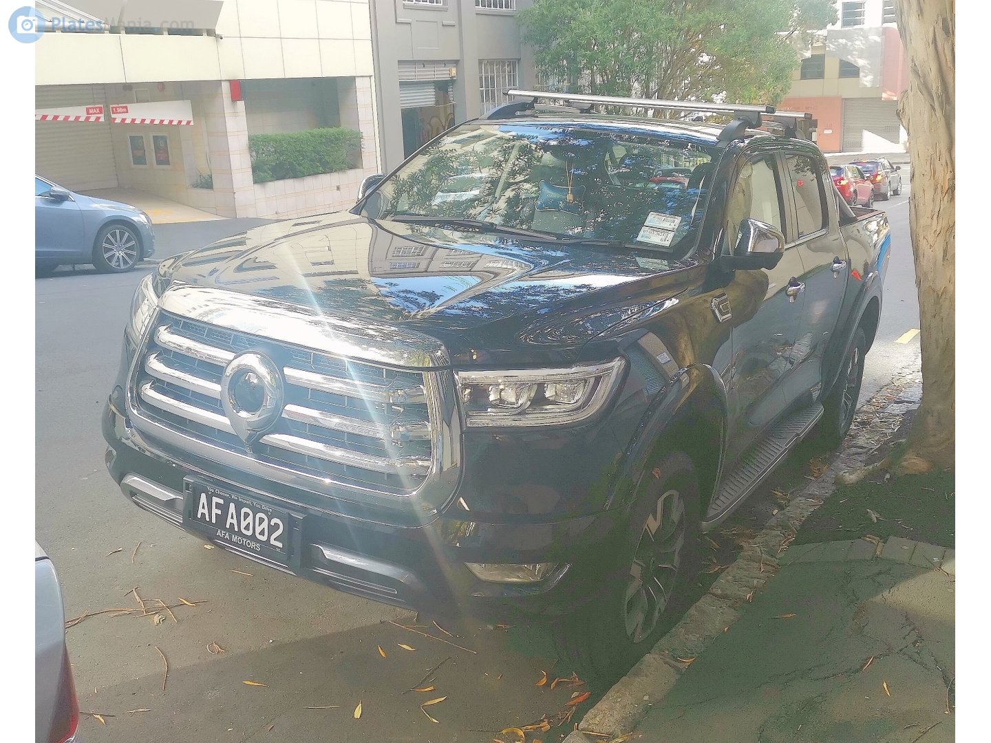 AFA002, Great Wall (GWM) Poer (Pao/P-Series/Ute) 1st gen (Global-market), 2019–