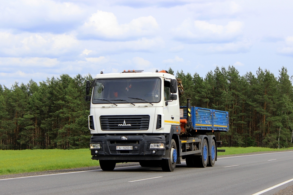 AI 6203-6, MAZ 6312 1st gen, facelift, 2009–