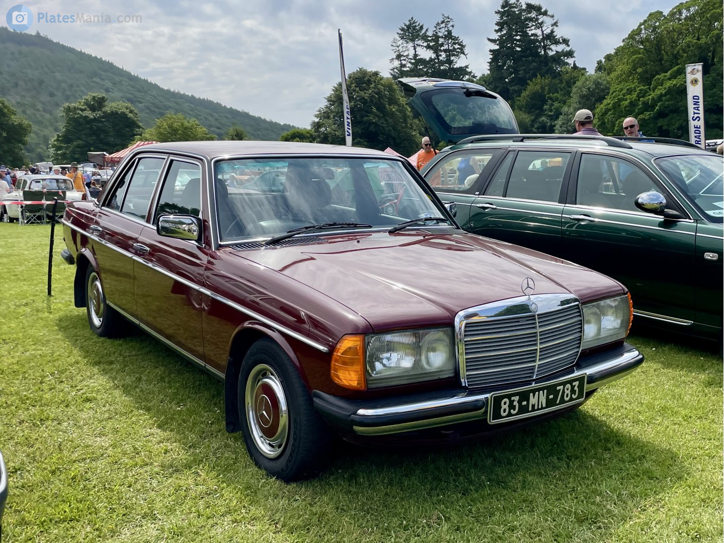 83-MN-783, Mercedes-Benz E-Klasse 200–300 Sedan (W123), 1975­–1986