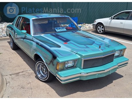 APOLNIA, Chevrolet Monte Carlo
