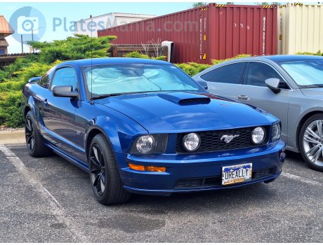 OREALLY, Ford Mustang