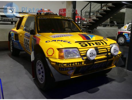 248 FWH 75, Peugeot 205