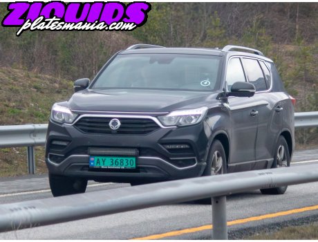 AY 36830, SsangYong (KGM) Rexton