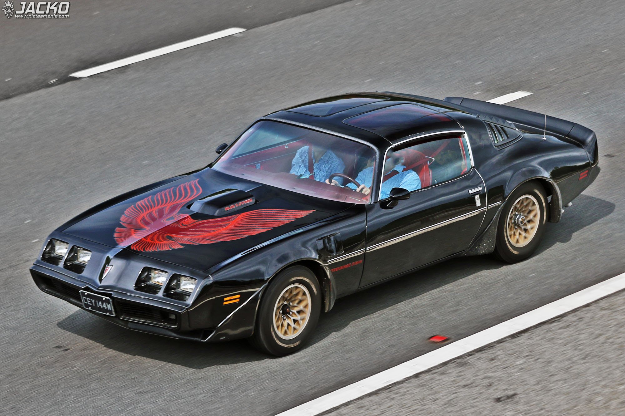 CEY144W, Pontiac Firebird 2nd gen Coupé (87; F-body), 3rd facelift, 1978–1981