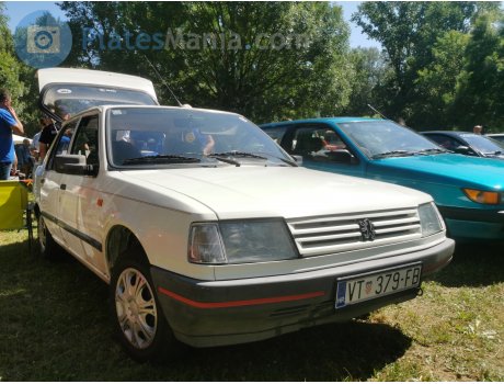 VT 379-FB, Peugeot 309