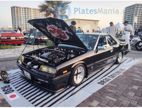 228336, Nissan Skyline