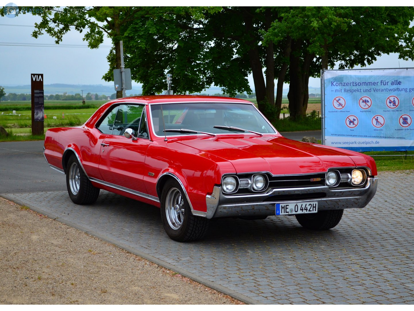 ME O 442 H, Oldsmobile 442 1st gen 1965 (Cutlass 442) Hardtop Coupé (3837; A-body), 1st facelift, 1964–1965