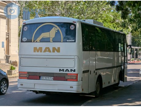 BH 9019 PX, Berkhof Excellence