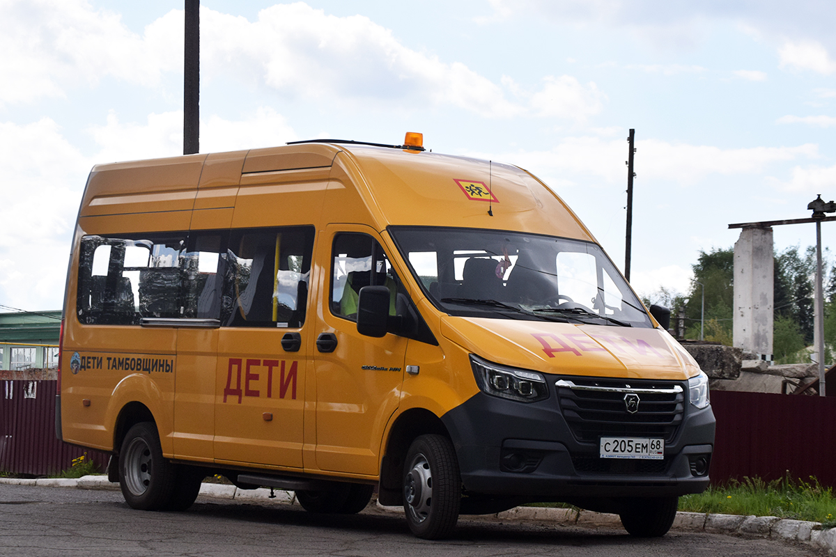 с 205 ем 68, GAZ ГАЗель NN School Minibus (A66, A69), 2021–