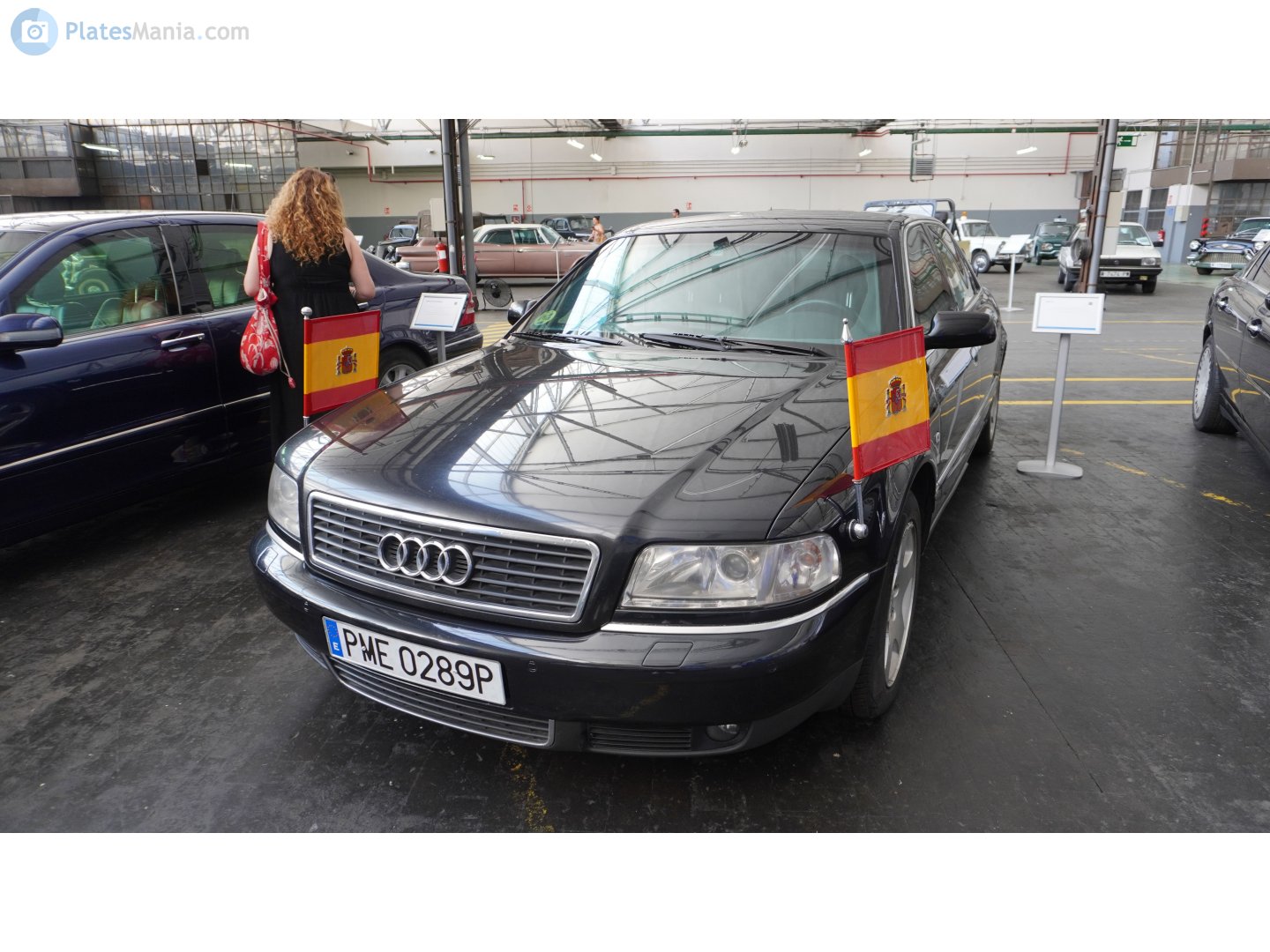 PME 0289 P, Audi A8 1st gen (D2/4D2/4D8), 1994–2002