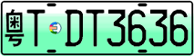 License plate of China, Electric vehicles