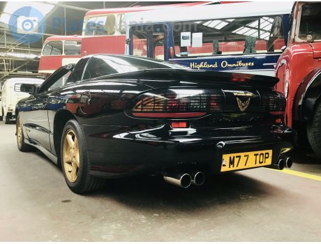 M77 TOP, Pontiac Firebird