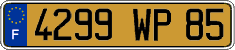 French license plate, FNI
